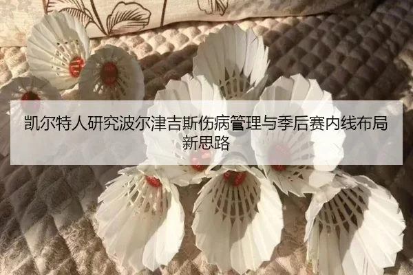 凯尔特人研究波尔津吉斯伤病管理与季后赛内线布局新思路